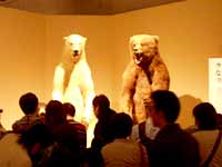 熊のトークショー